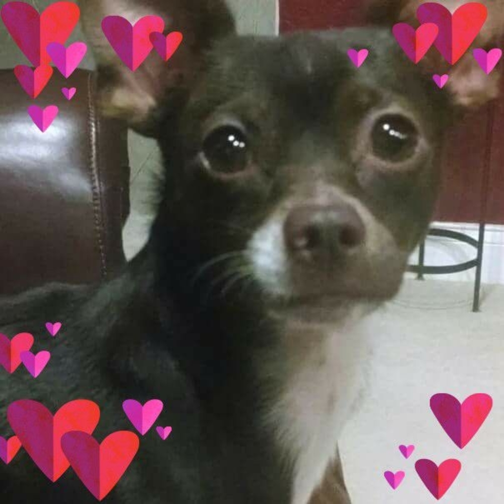 Meet your Posher, Marty